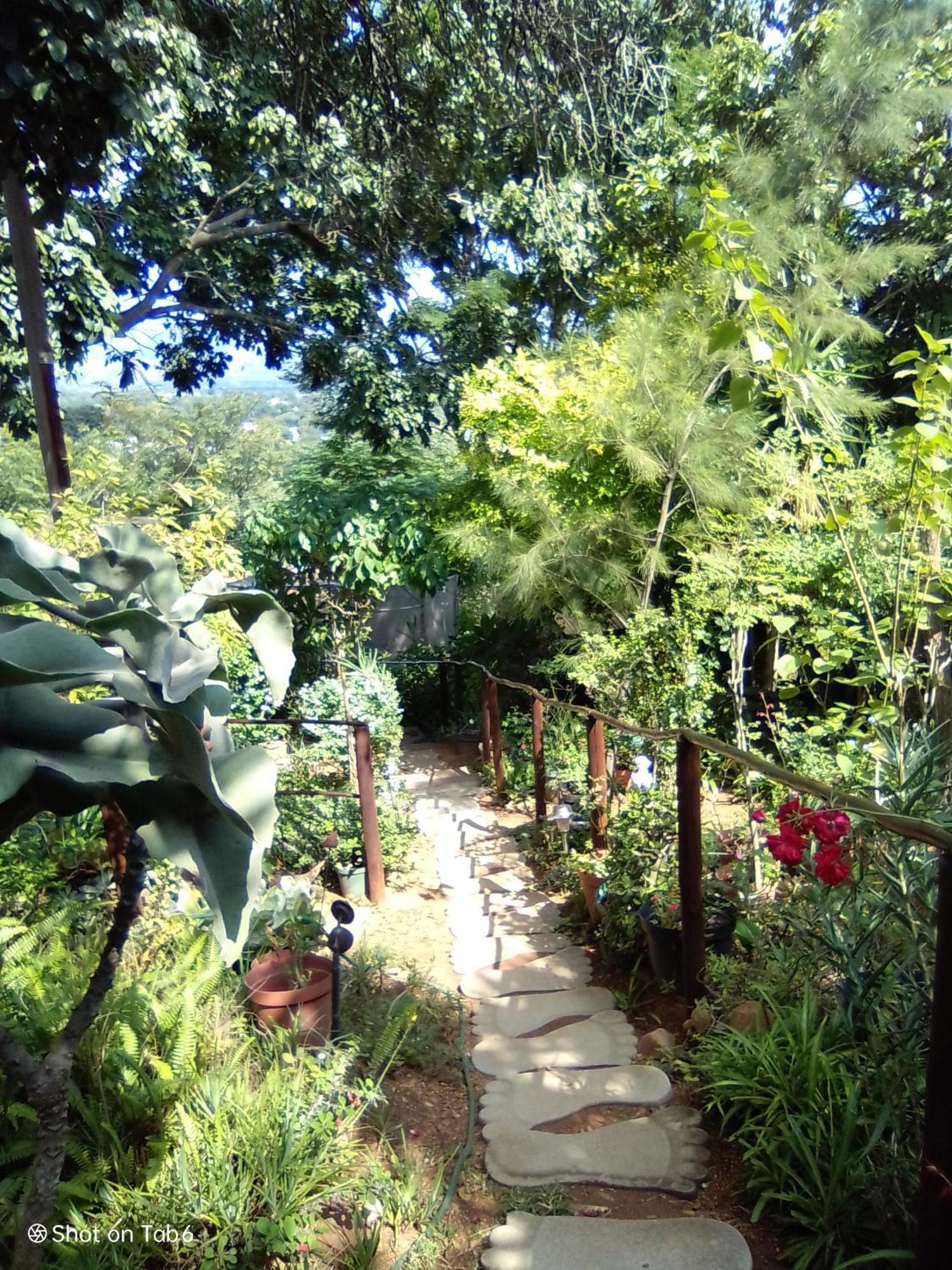 Pumba'S Lookout Villa Barberton Dış mekan fotoğraf