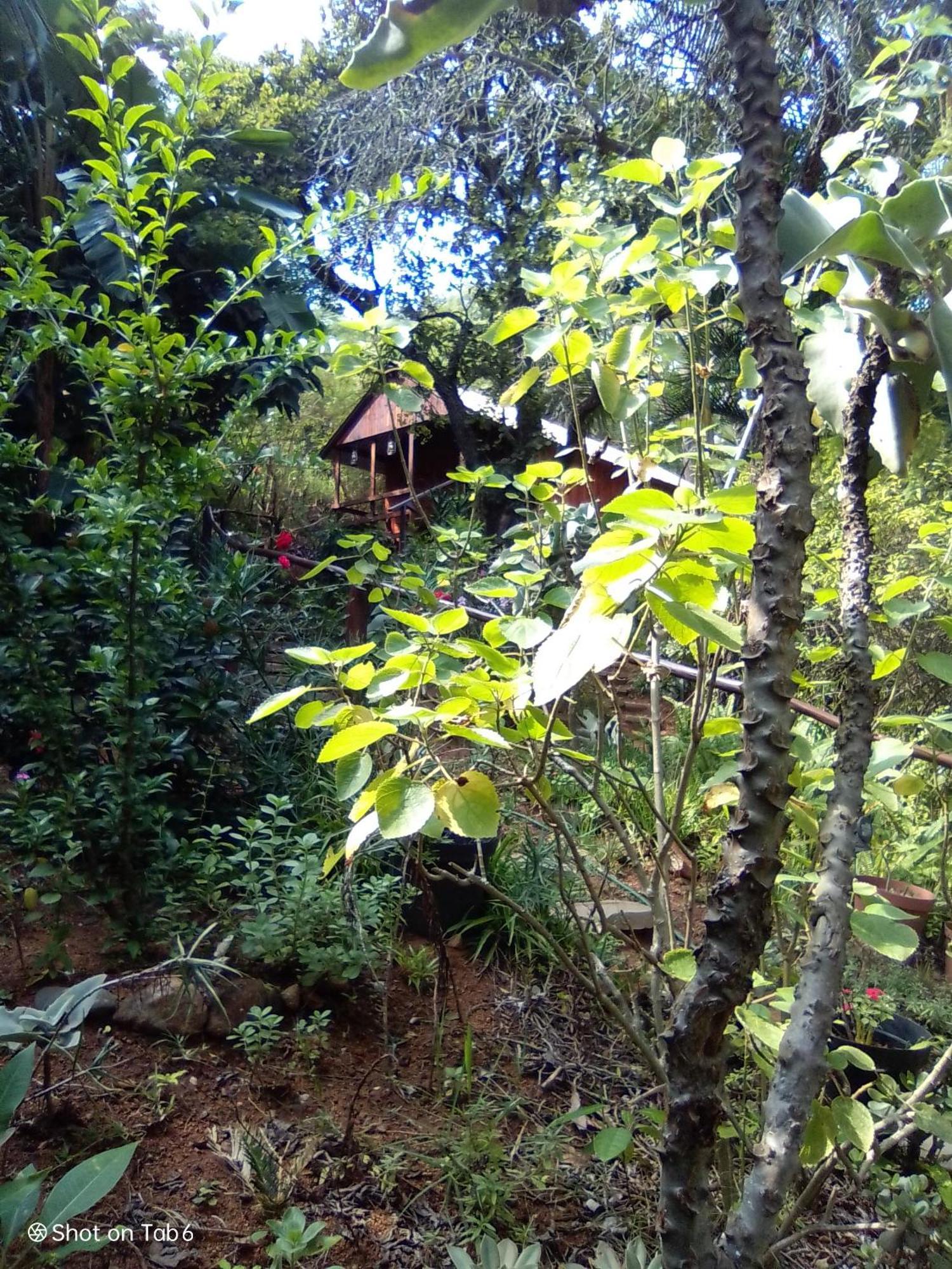 Pumba'S Lookout Villa Barberton Dış mekan fotoğraf