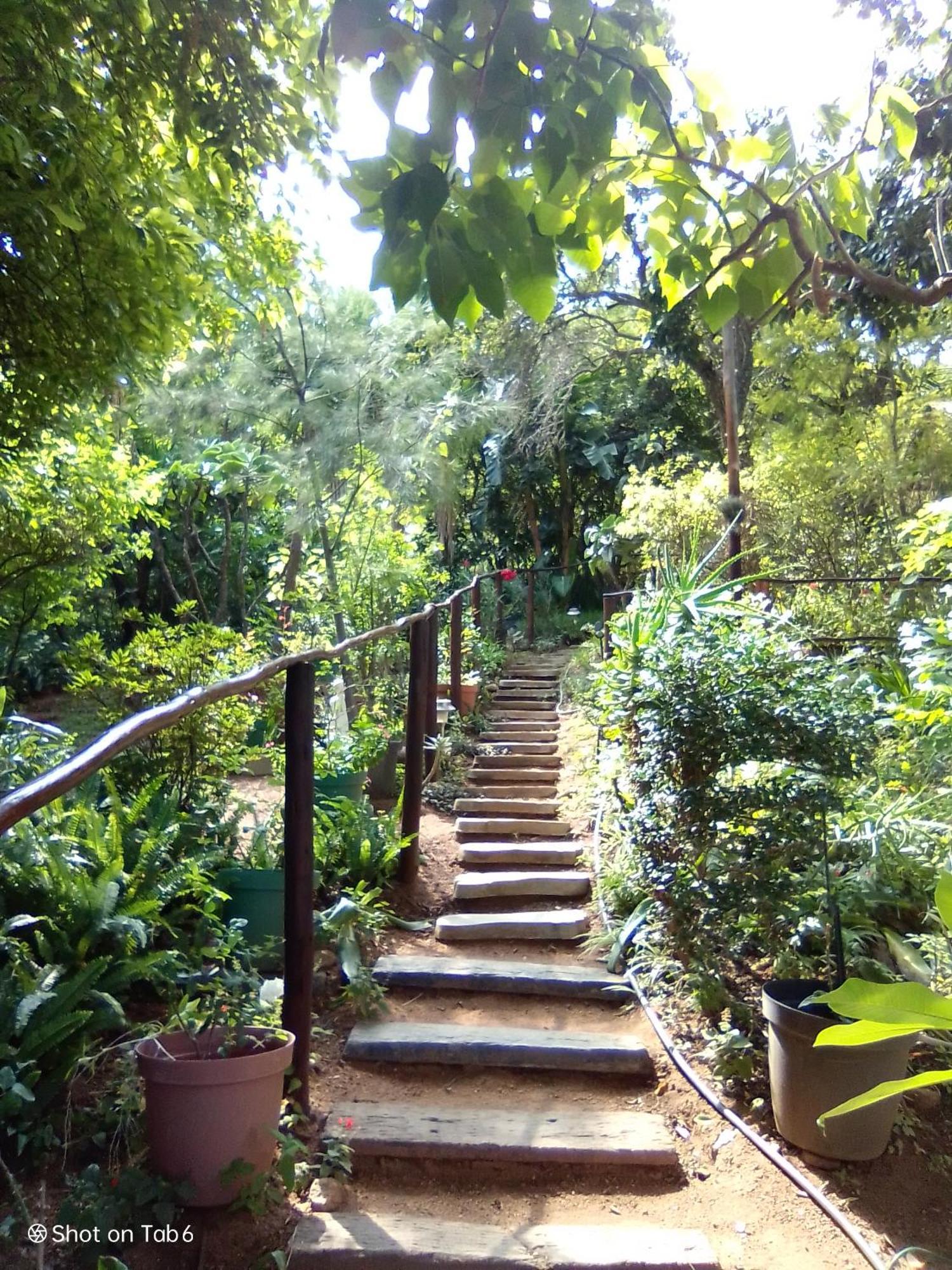 Pumba'S Lookout Villa Barberton Dış mekan fotoğraf