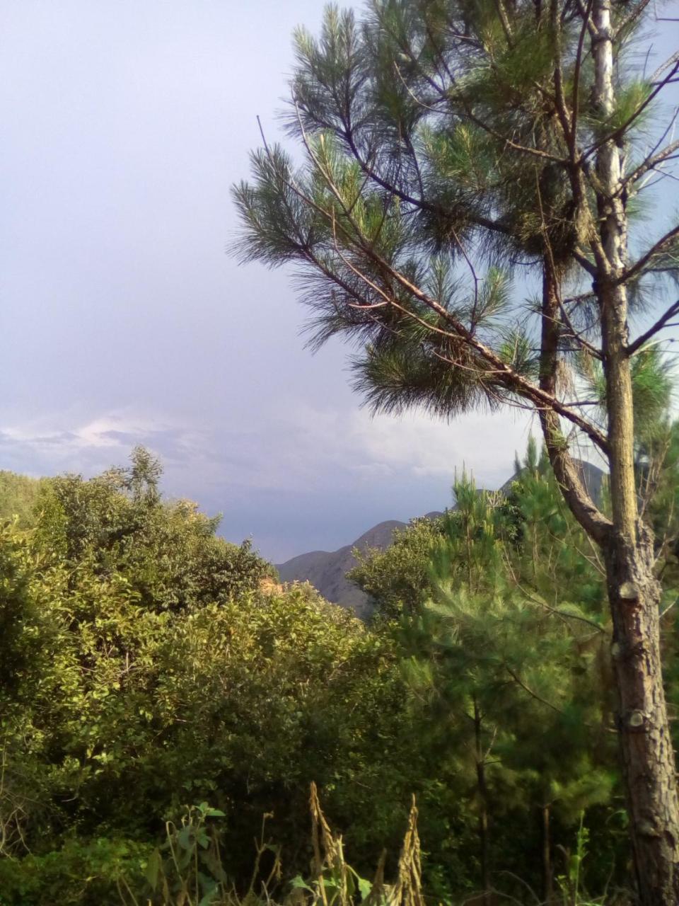 Pumba'S Lookout Villa Barberton Dış mekan fotoğraf