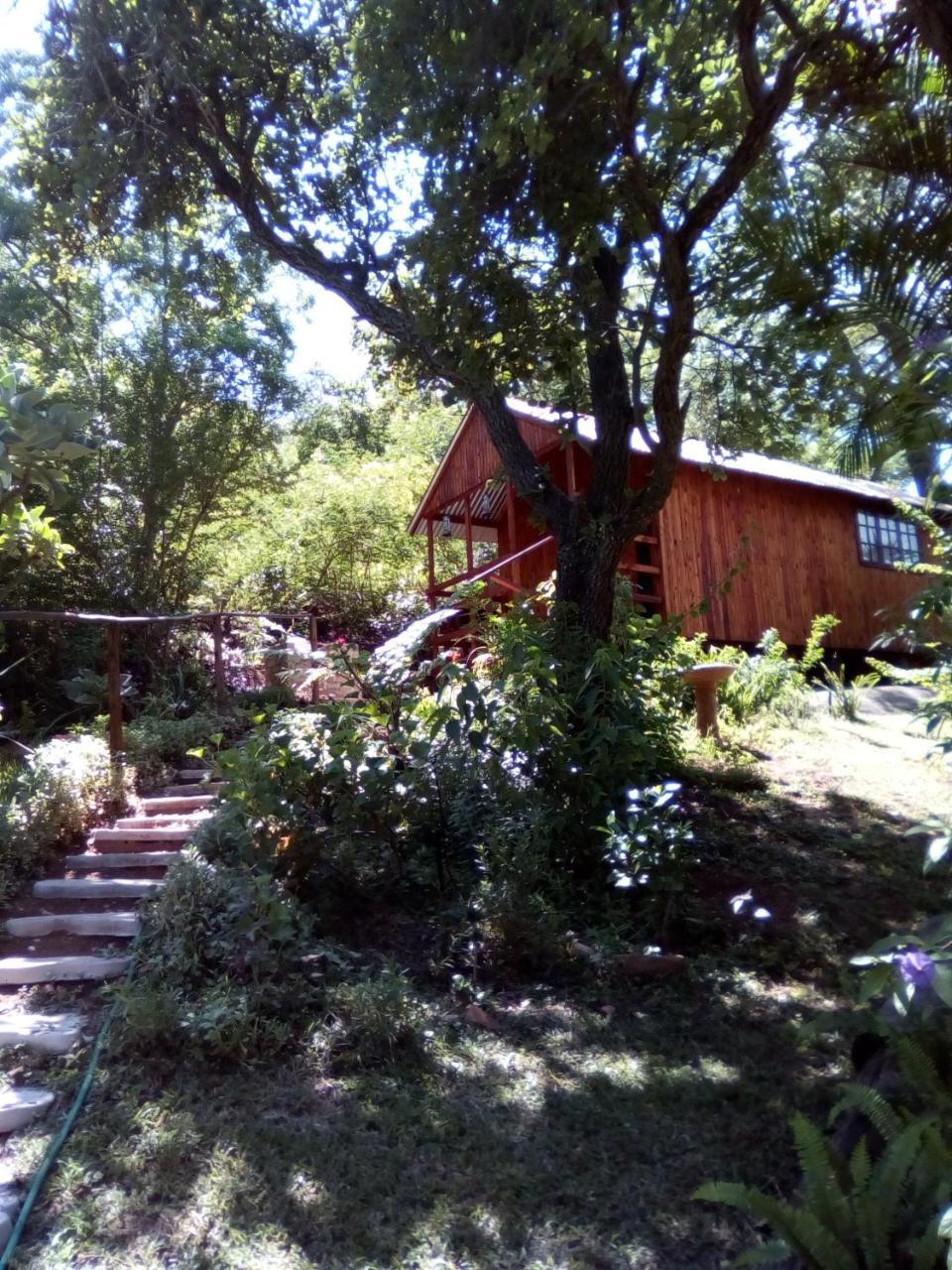 Pumba'S Lookout Villa Barberton Dış mekan fotoğraf